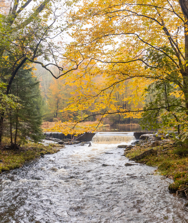 Fall Family Bucket List