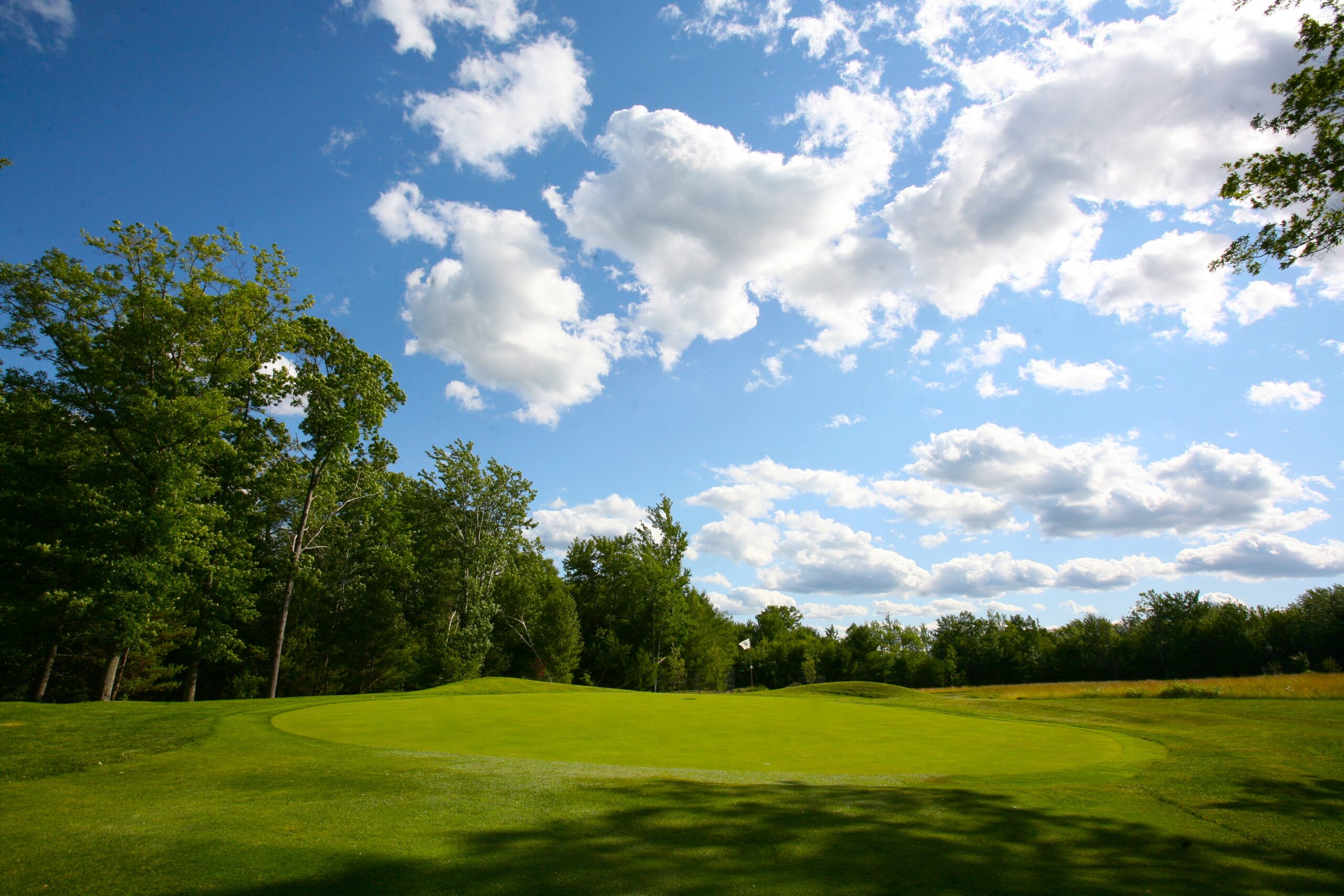 skytop lodge golf course, green fairways