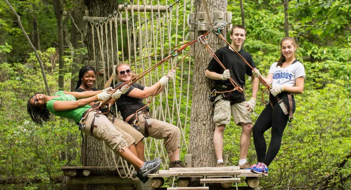 Pocono clearance ropes course